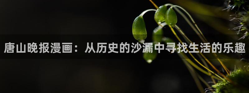 禁漫天堂官方版：唐山晚报漫画：从历史的沙漏中寻找生活的乐趣